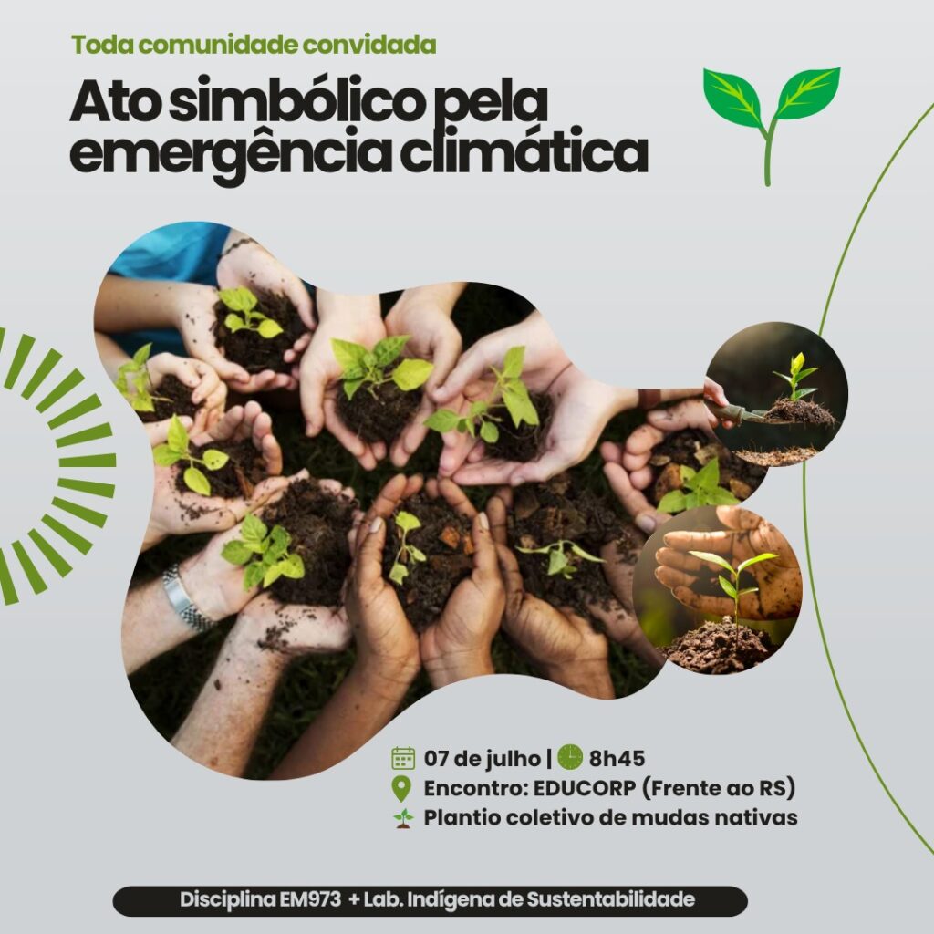 Plantio de Arvores