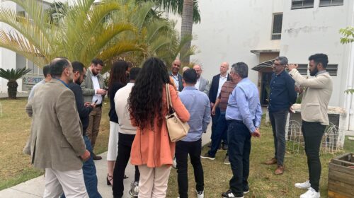 apresentacao cepil